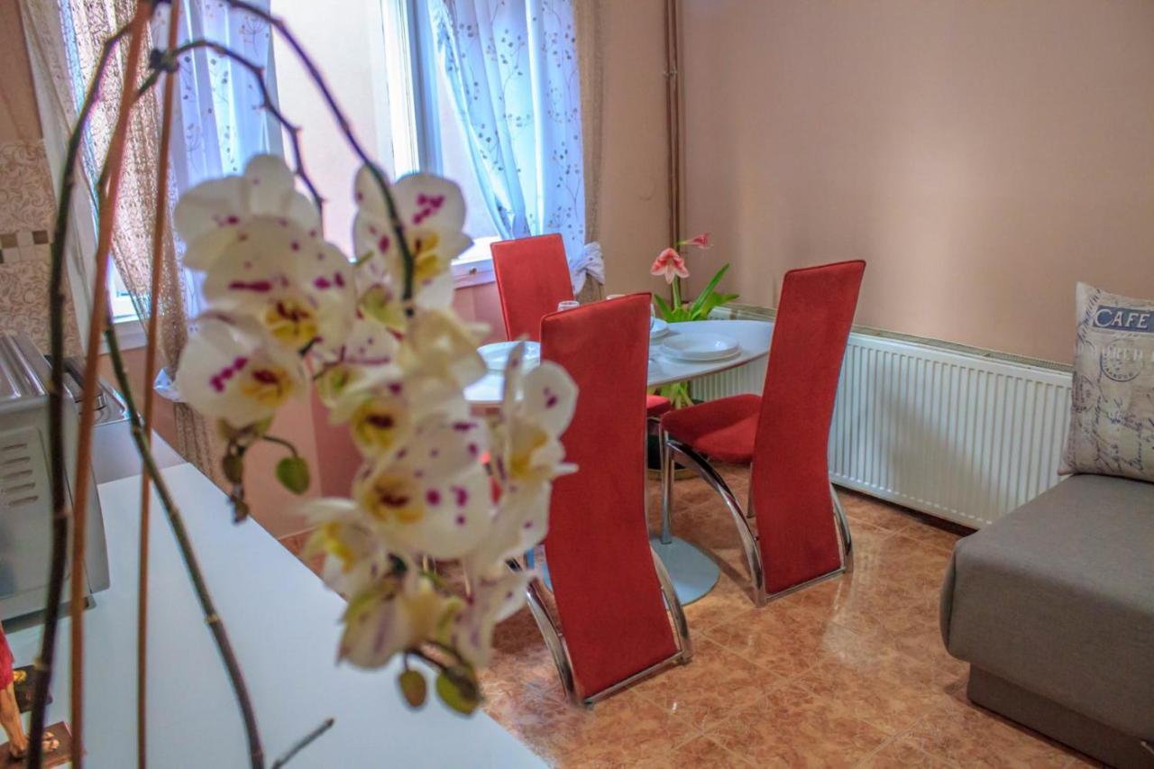 Bb Downtown Apartment Bajina Basta Buitenkant foto